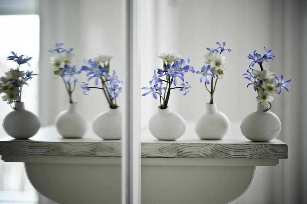 House Of The Snowbird Apartment Reykjavik Ngoại thất bức ảnh