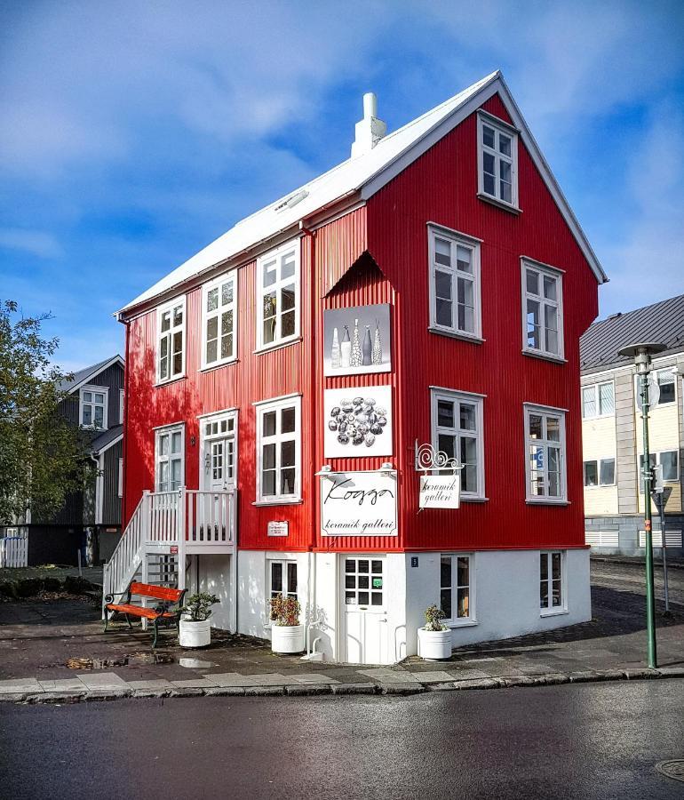 House Of The Snowbird Apartment Reykjavik Ngoại thất bức ảnh